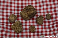 VBS_6524 - Fiera dei Santi - 12.ma Fiera Nazionale del Tartufo